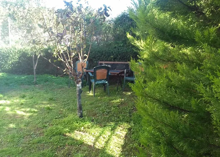 Christinas garden