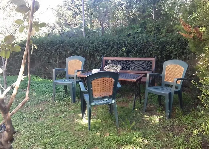 Christinas garden