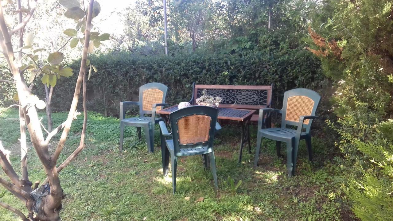 Christinas Garden *