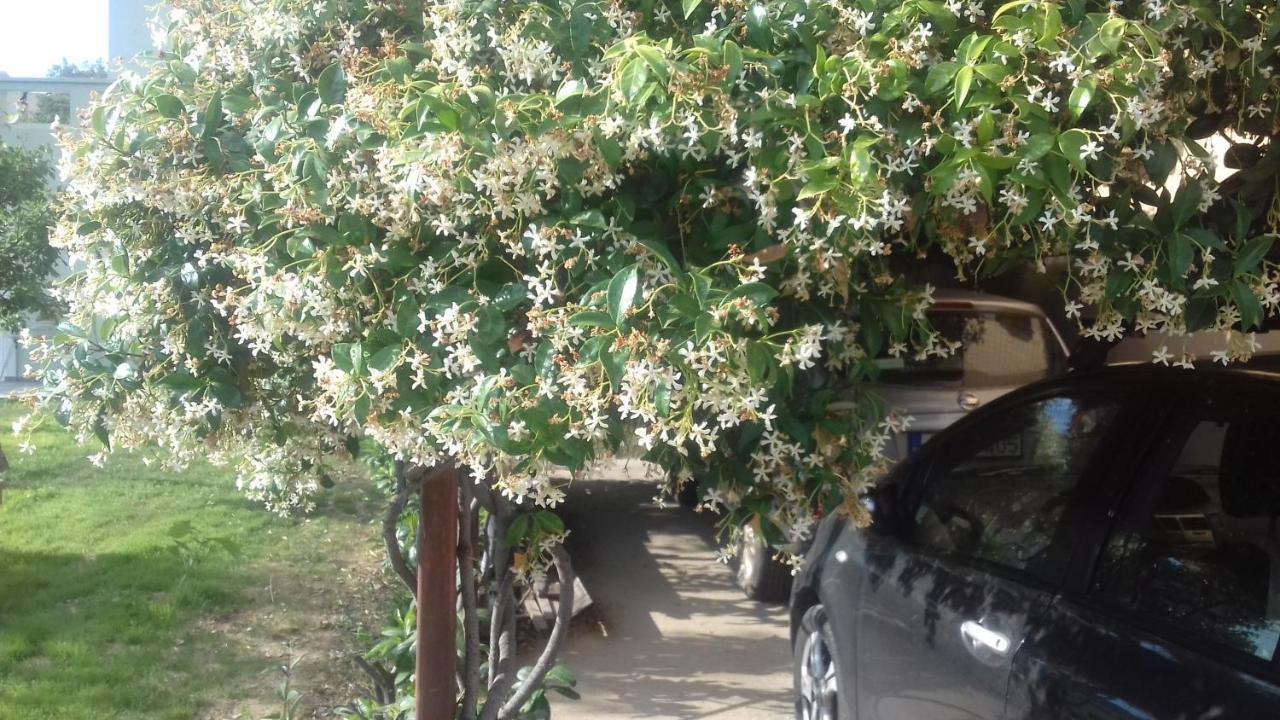 Christinas Garden Apartment