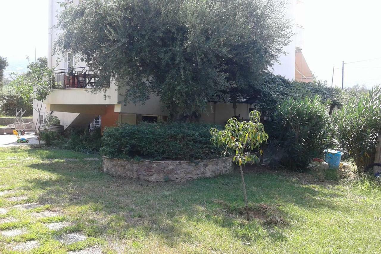 Christinas Garden Patras